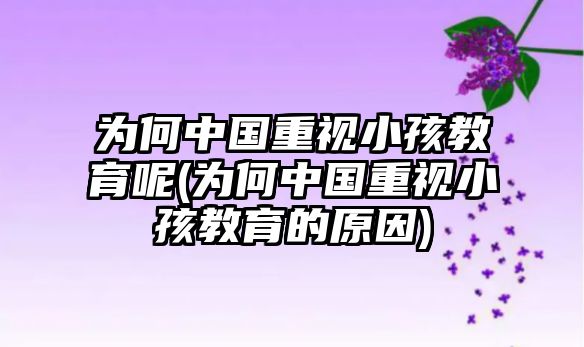 為何中國重視小孩教育呢(為何中國重視小孩教育的原因)