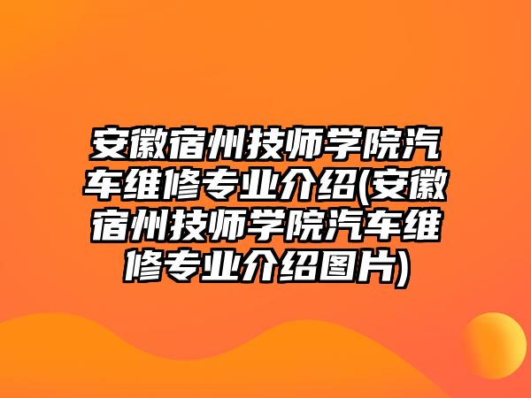 安徽宿州技師學院汽車維修專業(yè)介紹(安徽宿州技師學院汽車維修專業(yè)介紹圖片)