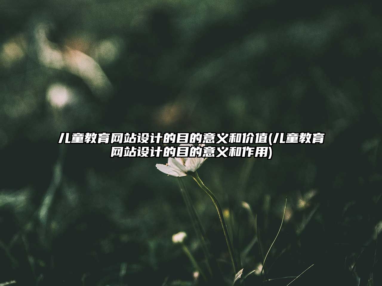 兒童教育網(wǎng)站設(shè)計(jì)的目的意義和價(jià)值(兒童教育網(wǎng)站設(shè)計(jì)的目的意義和作用)