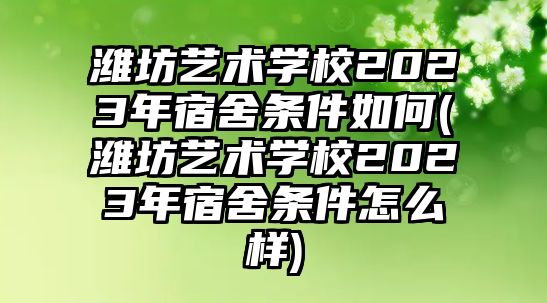 濰坊藝術學校2023年宿舍條件如何(濰坊藝術學校2023年宿舍條件怎么樣)