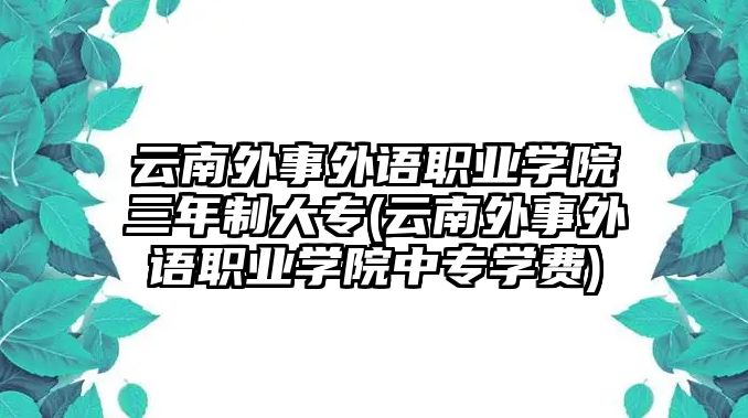 云南外事外語職業(yè)學院三年制大專(云南外事外語職業(yè)學院中專學費)