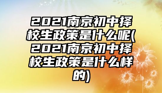 2021南京初中擇校生政策是什么呢(2021南京初中擇校生政策是什么樣的)