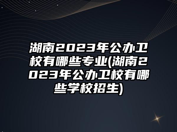 湖南2023年公辦衛(wèi)校有哪些專業(yè)(湖南2023年公辦衛(wèi)校有哪些學(xué)校招生)