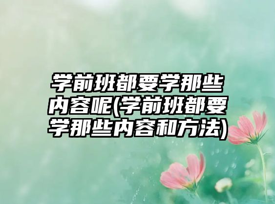 學前班都要學那些內容呢(學前班都要學那些內容和方法)