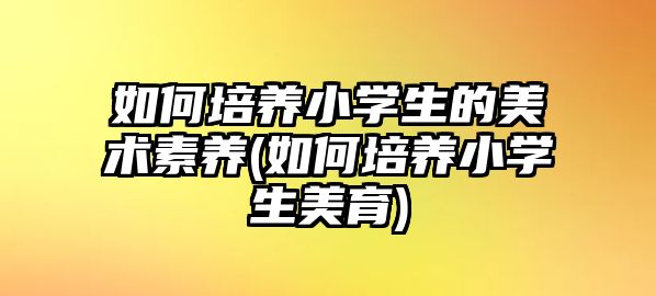 如何培養(yǎng)小學(xué)生的美術(shù)素養(yǎng)(如何培養(yǎng)小學(xué)生美育)