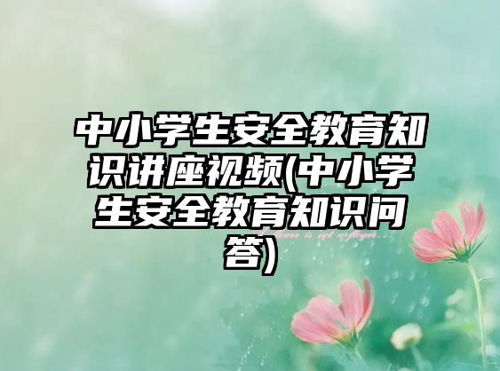 中小學(xué)生安全教育知識(shí)講座視頻(中小學(xué)生安全教育知識(shí)問答)