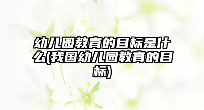 幼兒園教育的目標(biāo)是什么(我國幼兒園教育的目標(biāo))