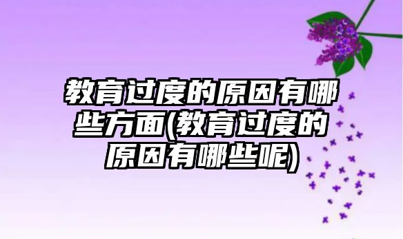 教育過度的原因有哪些方面(教育過度的原因有哪些呢)