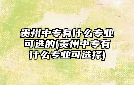 貴州中專有什么專業(yè)可選的(貴州中專有什么專業(yè)可選擇)