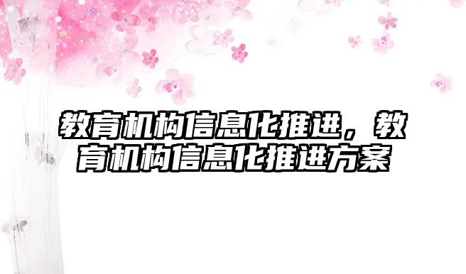 教育機構(gòu)信息化推進，教育機構(gòu)信息化推進方案