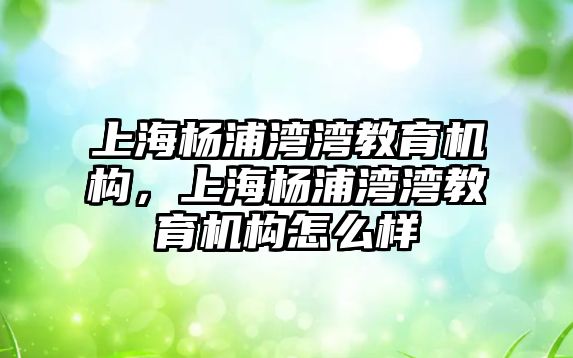 上海楊浦灣灣教育機構(gòu)，上海楊浦灣灣教育機構(gòu)怎么樣