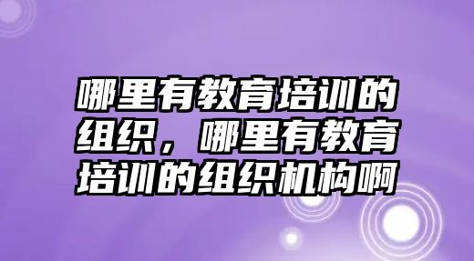 哪里有教育培訓(xùn)的組織，哪里有教育培訓(xùn)的組織機(jī)構(gòu)啊