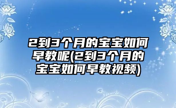 2到3個(gè)月的寶寶如何早教呢(2到3個(gè)月的寶寶如何早教視頻)