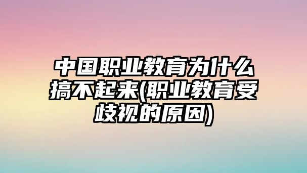 中國職業(yè)教育為什么搞不起來(職業(yè)教育受歧視的原因)