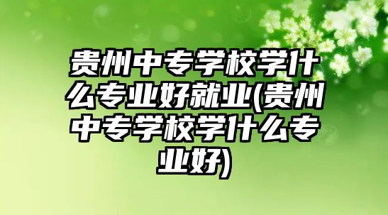 貴州中專學校學什么專業(yè)好就業(yè)(貴州中專學校學什么專業(yè)好)