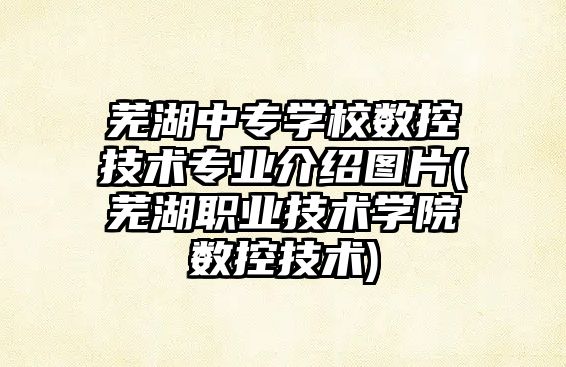 蕪湖中專學校數控技術專業(yè)介紹圖片(蕪湖職業(yè)技術學院數控技術)