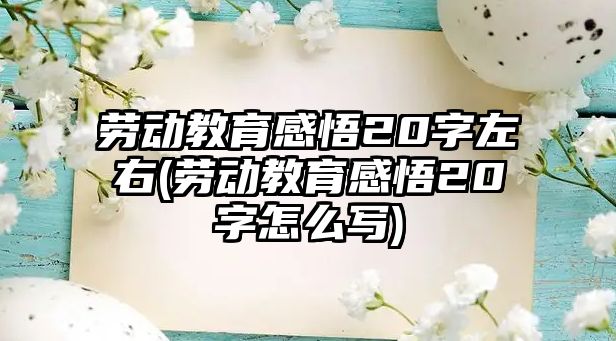 勞動(dòng)教育感悟20字左右(勞動(dòng)教育感悟20字怎么寫)