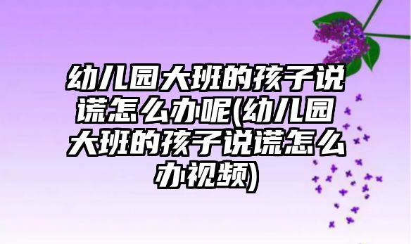 幼兒園大班的孩子說(shuō)謊怎么辦呢(幼兒園大班的孩子說(shuō)謊怎么辦視頻)