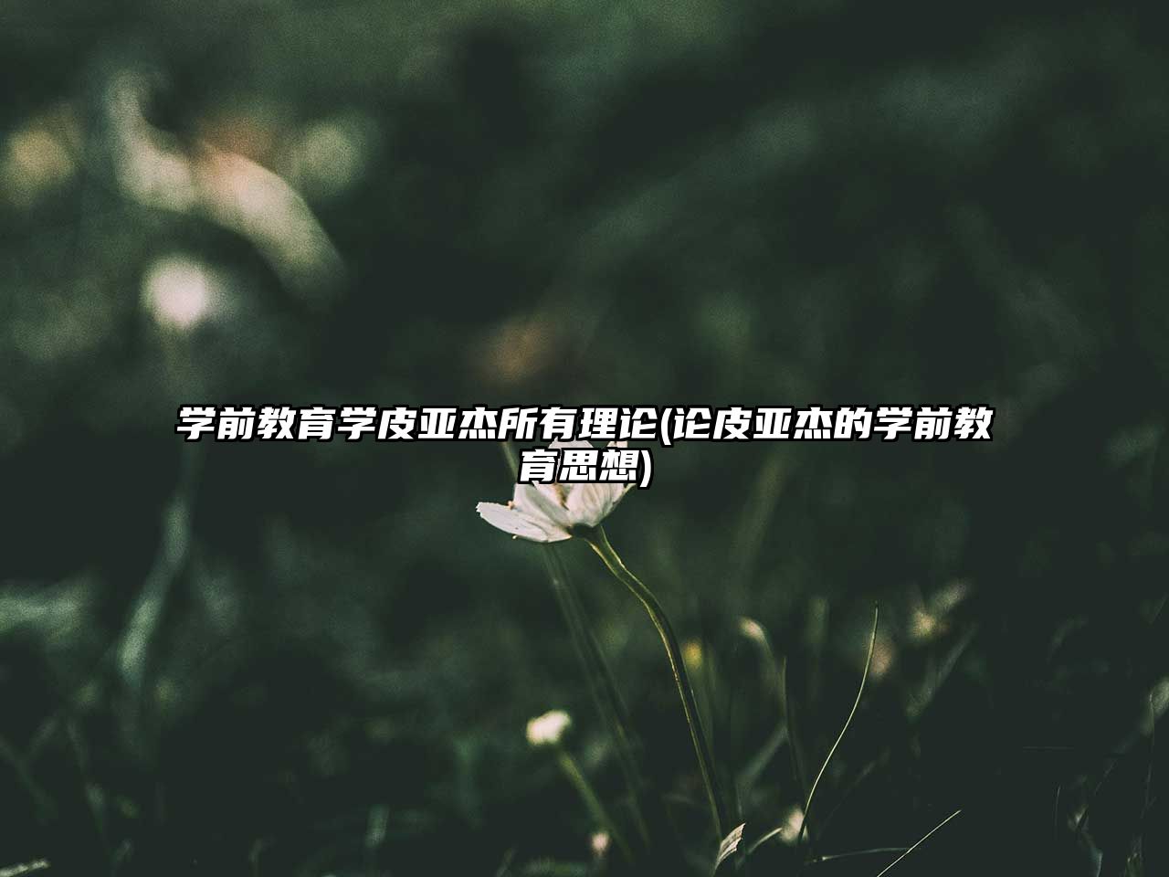 學前教育學皮亞杰所有理論(論皮亞杰的學前教育思想)