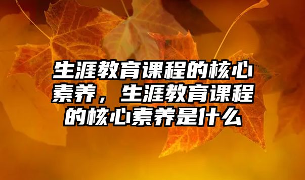 生涯教育課程的核心素養(yǎng)，生涯教育課程的核心素養(yǎng)是什么