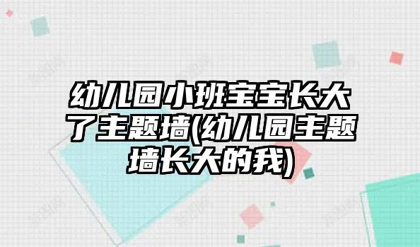 幼兒園小班寶寶長大了主題墻(幼兒園主題墻長大的我)