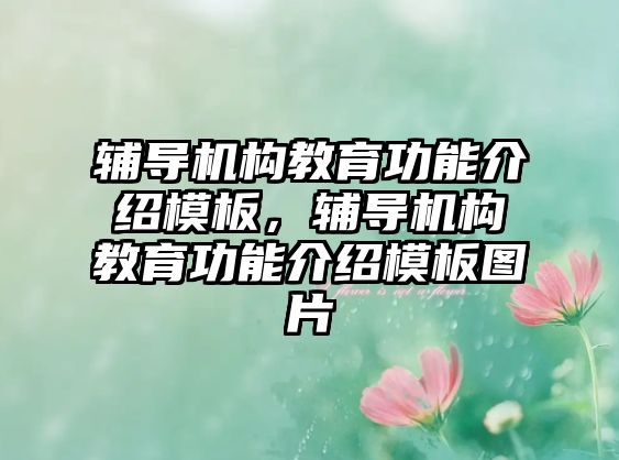 輔導(dǎo)機構(gòu)教育功能介紹模板，輔導(dǎo)機構(gòu)教育功能介紹模板圖片