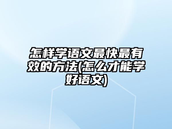 怎樣學語文最快最有效的方法(怎么才能學好語文)