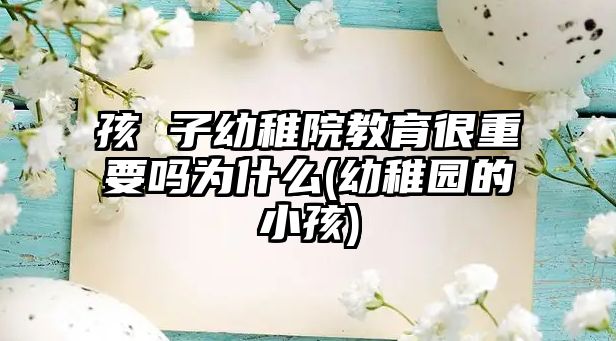 孩 子幼稚院教育很重要嗎為什么(幼稚園的小孩)