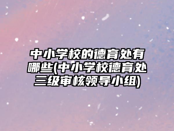 中小學校的德育處有哪些(中小學校德育處三級審核領導小組)