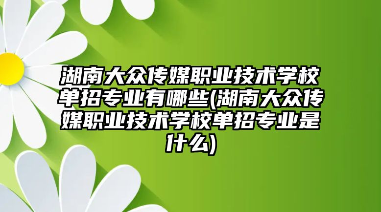 湖南大眾傳媒職業(yè)技術(shù)學校單招專業(yè)有哪些(湖南大眾傳媒職業(yè)技術(shù)學校單招專業(yè)是什么)