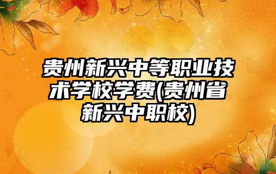 貴州新興中等職業(yè)技術學校學費(貴州省新興中職校)