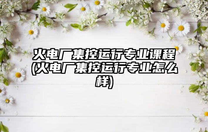 火電廠集控運(yùn)行專業(yè)課程(火電廠集控運(yùn)行專業(yè)怎么樣)