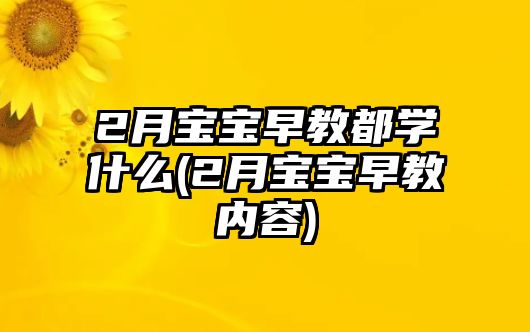 2月寶寶早教都學(xué)什么(2月寶寶早教內(nèi)容)