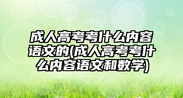 成人高考考什么內(nèi)容語文的(成人高考考什么內(nèi)容語文和數(shù)學)