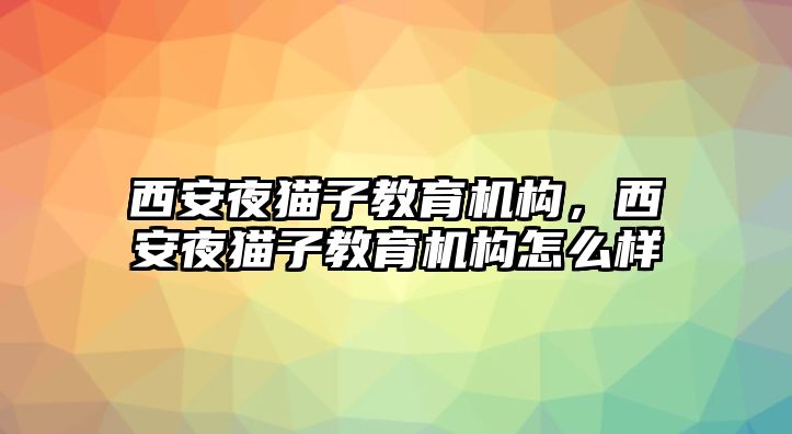 西安夜貓子教育機構(gòu)，西安夜貓子教育機構(gòu)怎么樣