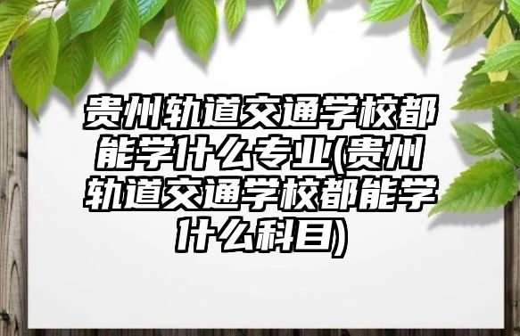 貴州軌道交通學(xué)校都能學(xué)什么專業(yè)(貴州軌道交通學(xué)校都能學(xué)什么科目)