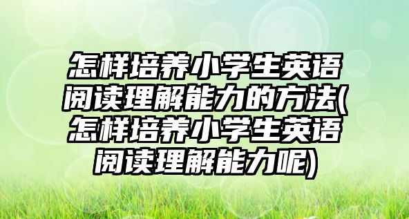 怎樣培養(yǎng)小學(xué)生英語閱讀理解能力的方法(怎樣培養(yǎng)小學(xué)生英語閱讀理解能力呢)