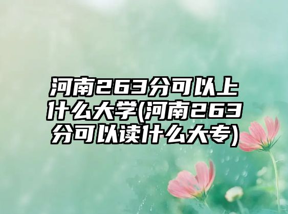 河南263分可以上什么大學(xué)(河南263分可以讀什么大專)