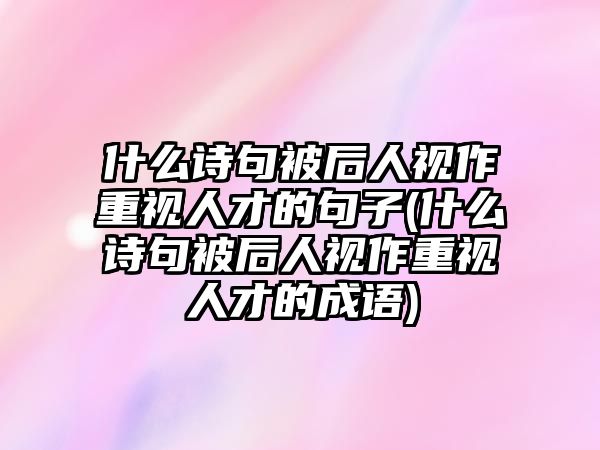 什么詩(shī)句被后人視作重視人才的句子(什么詩(shī)句被后人視作重視人才的成語(yǔ))