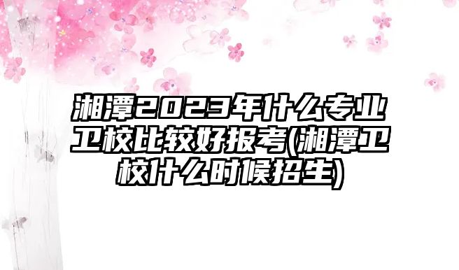 湘潭2023年什么專業(yè)衛(wèi)校比較好報考(湘潭衛(wèi)校什么時候招生)