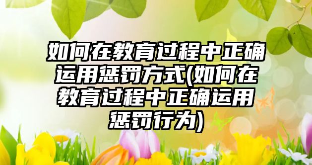 如何在教育過程中正確運(yùn)用懲罰方式(如何在教育過程中正確運(yùn)用懲罰行為)