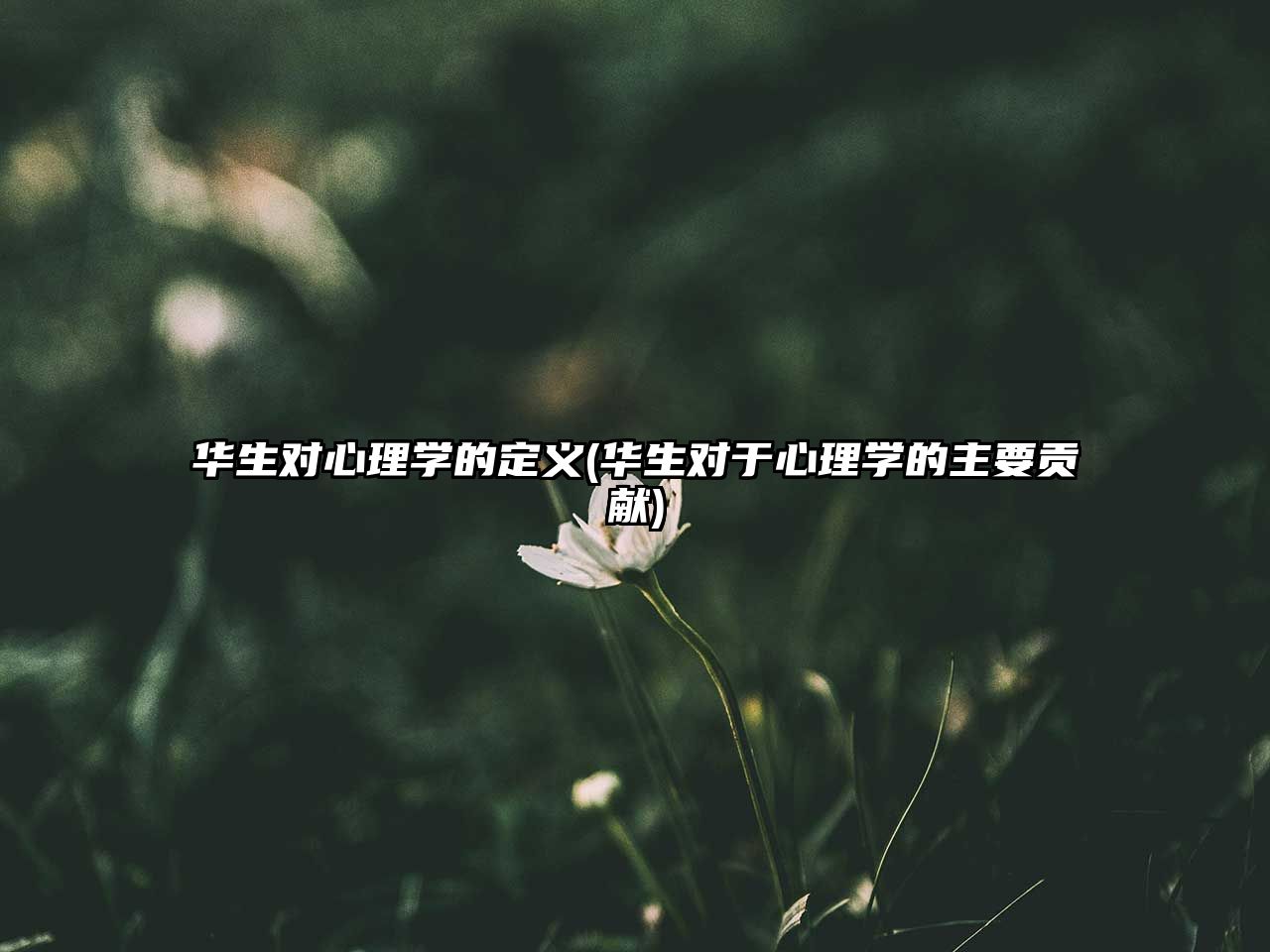 華生對心理學的定義(華生對于心理學的主要貢獻)