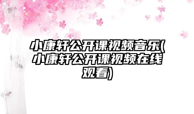 小康軒公開(kāi)課視頻音樂(lè)(小康軒公開(kāi)課視頻在線觀看)