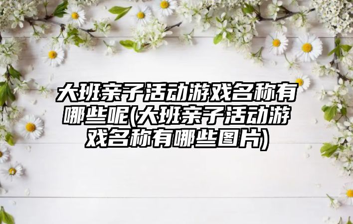 大班親子活動游戲名稱有哪些呢(大班親子活動游戲名稱有哪些圖片)