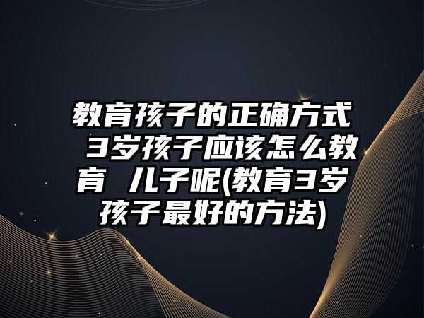 教育孩子的正確方式 3歲孩子應該怎么教育 兒子呢(教育3歲孩子最好的方法)