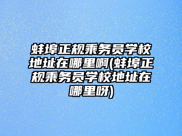 蚌埠正規(guī)乘務員學校地址在哪里啊(蚌埠正規(guī)乘務員學校地址在哪里呀)