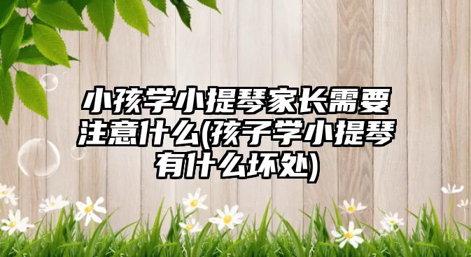 小孩學小提琴家長需要注意什么(孩子學小提琴有什么壞處)