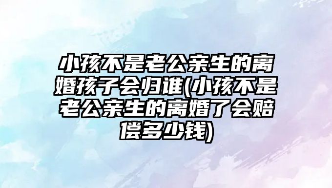 小孩不是老公親生的離婚孩子會歸誰(小孩不是老公親生的離婚了會賠償多少錢)