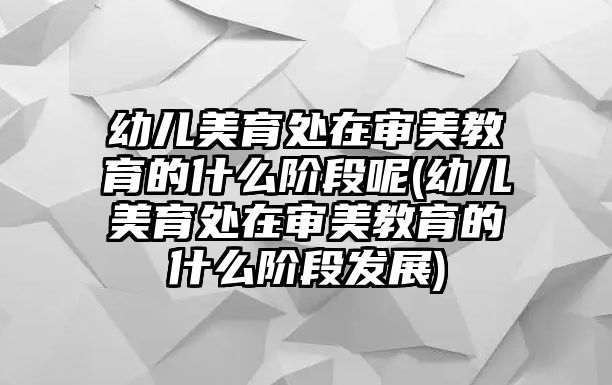 幼兒美育處在審美教育的什么階段呢(幼兒美育處在審美教育的什么階段發(fā)展)