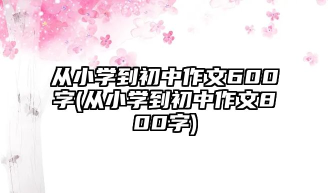 從小學(xué)到初中作文600字(從小學(xué)到初中作文800字)